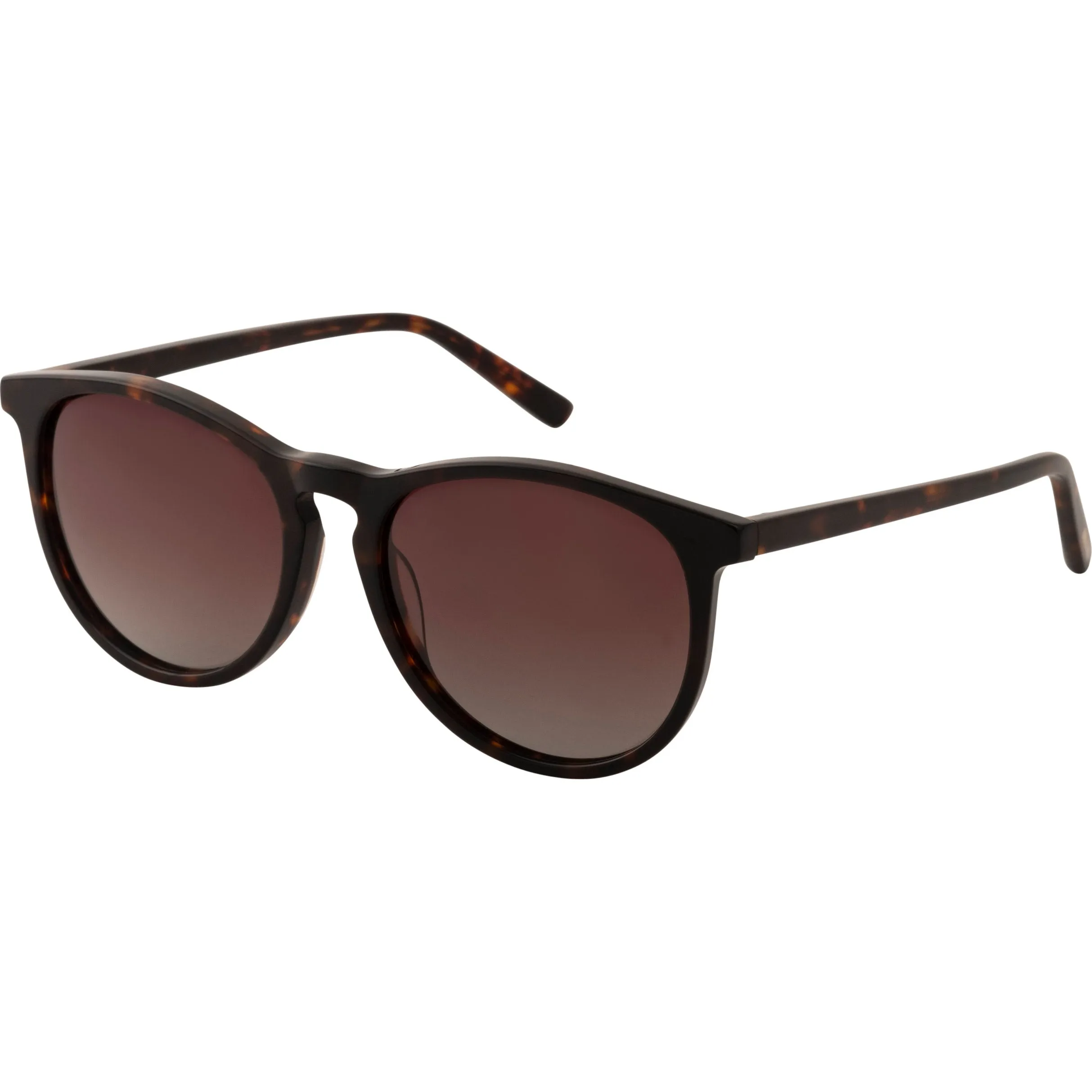 SAHARA sunglasses tortoise brown